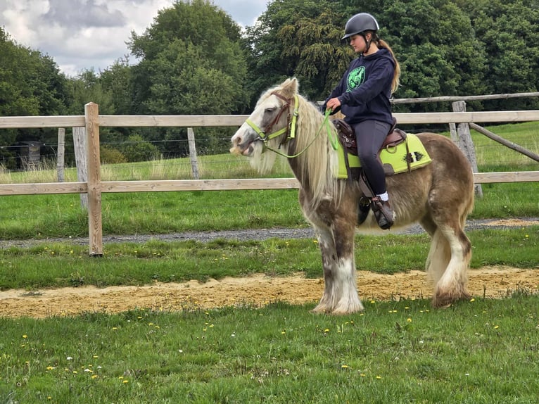 Tinker Jument 7 Ans Palomino in Linkenbach