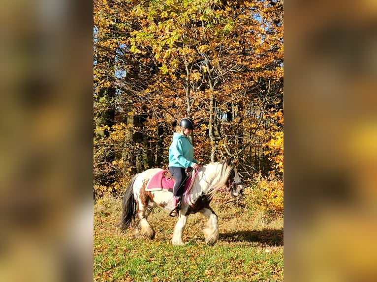 Tinker Jument 9 Ans 144 cm Pinto in Linkenbach Tinker Jument 9 Ans 144 cm Pinto in Linkenbach