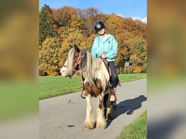 Tinker Klacz 10 lat 144 cm Srokata in Linkenbach