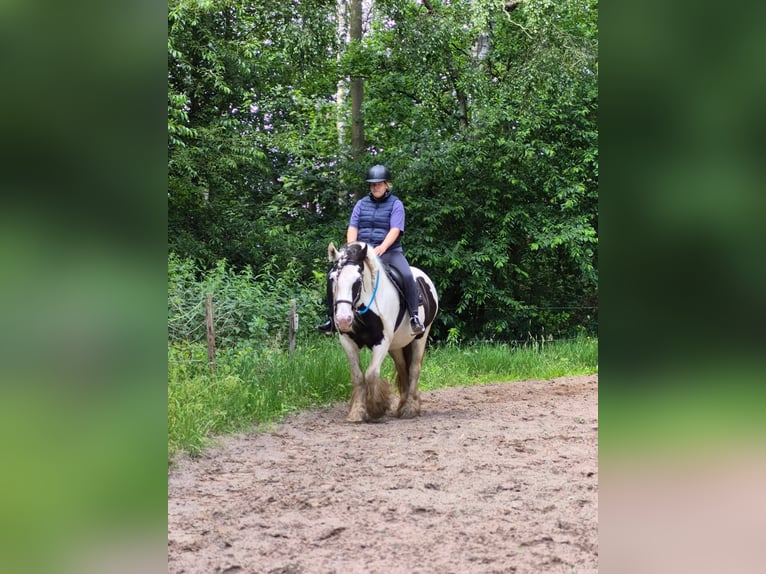 Tinker Klacz 10 lat 146 cm Tobiano wszelkich maści in Barger-Compascuum