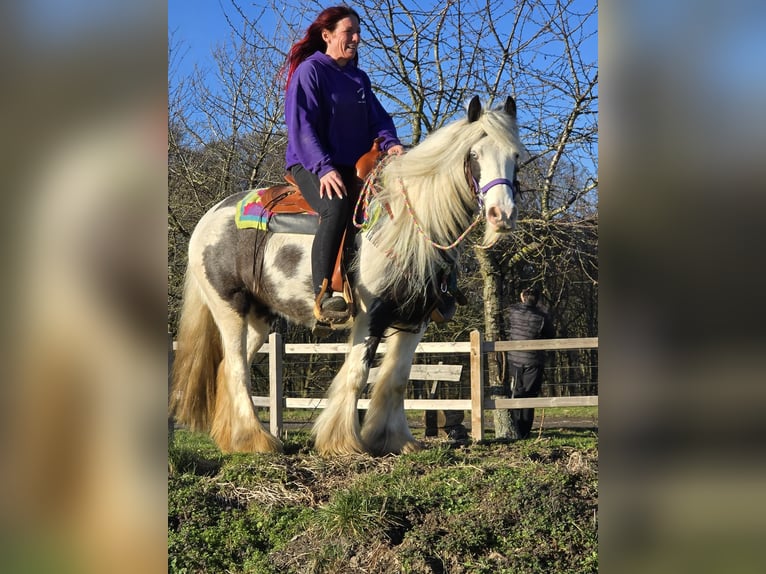 Tinker Klacz 11 lat 140 cm Srokata in Linkenbach