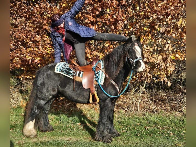 Tinker Klacz 12 lat 145 cm Kara in Linkenbach