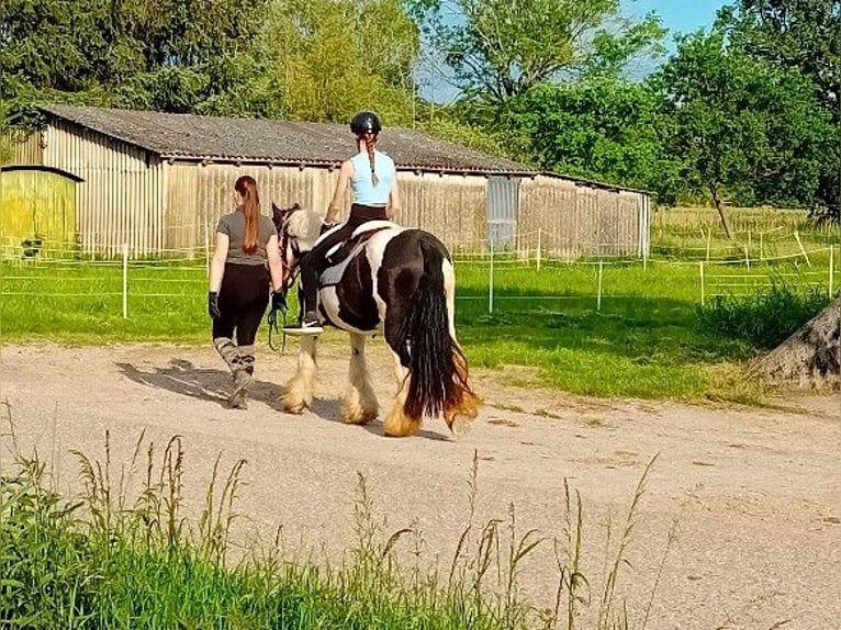 Tinker Klacz 13 lat 145 cm Srokata in Kandel