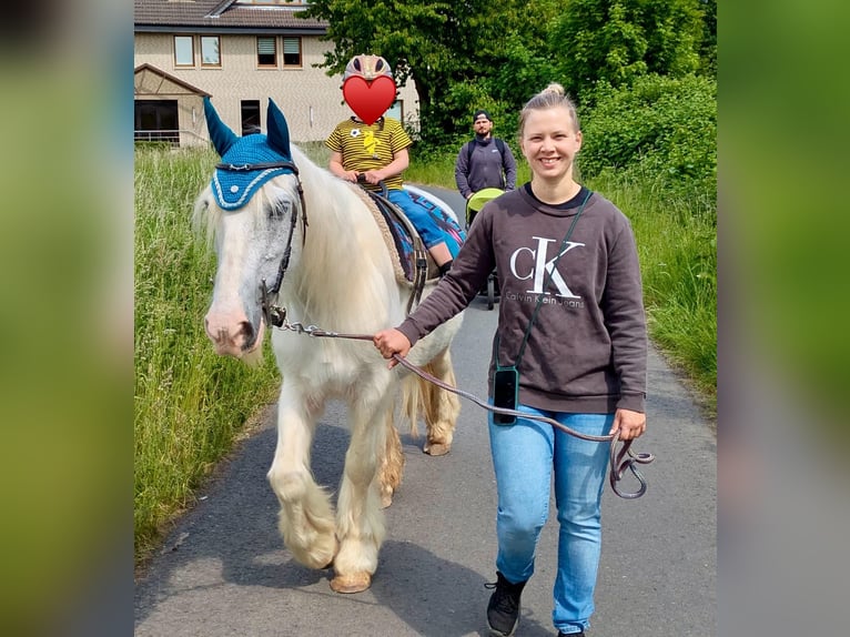 Tinker Klacz 15 lat 135 cm Siwa in Wei&#xDF;enthurm