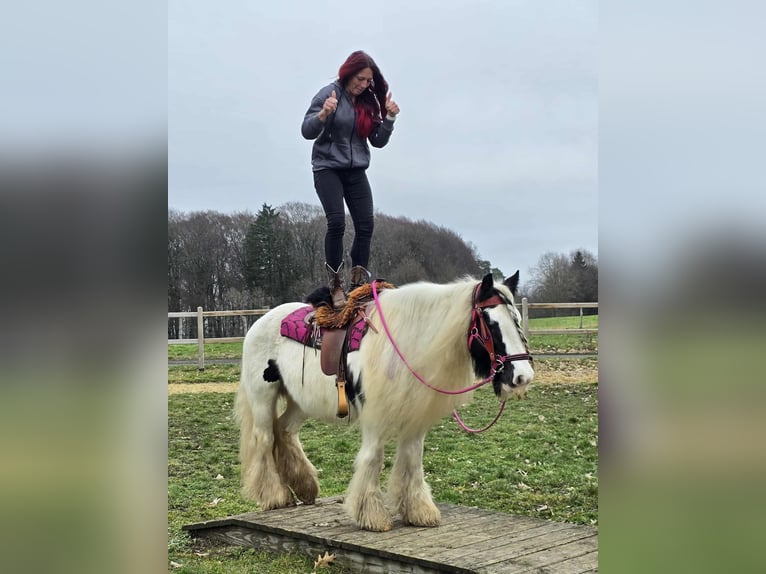 Tinker Klacz 15 lat 146 cm Srokata in Linkenbach