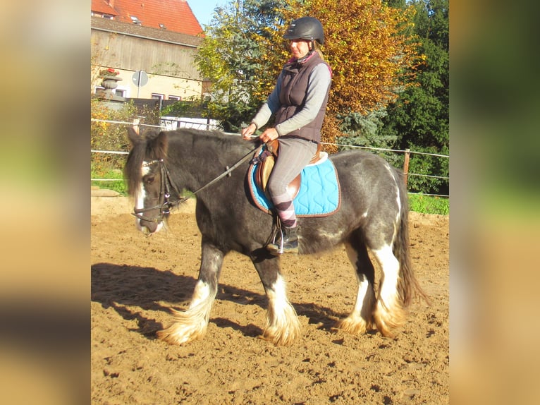 Tinker Klacz 4 lat 128 cm Kara in Velpke