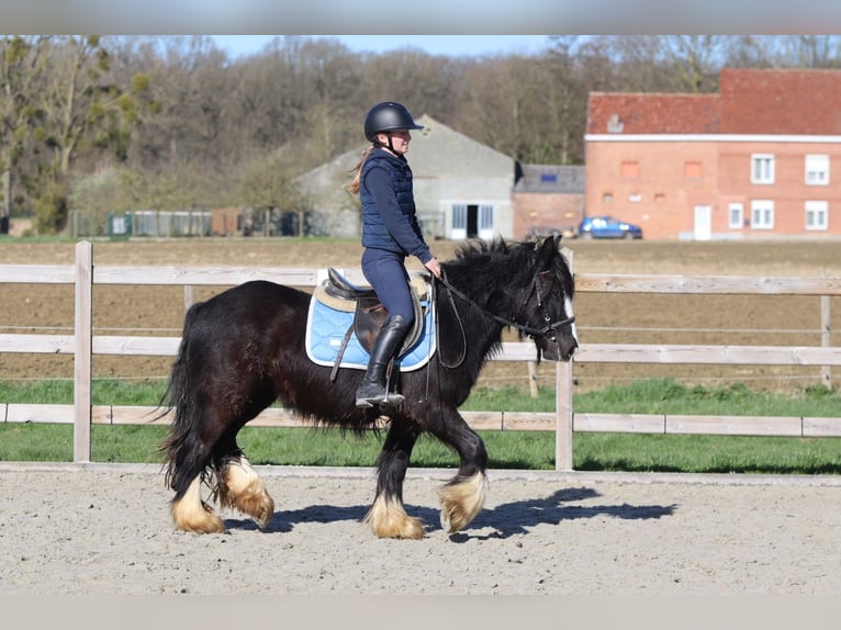 Tinker Klacz 4 lat 133 cm Kara in Pepingen