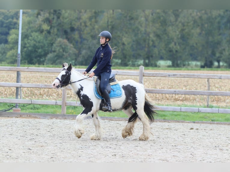 Tinker Klacz 5 lat 127 cm Srokata in Bogaarden