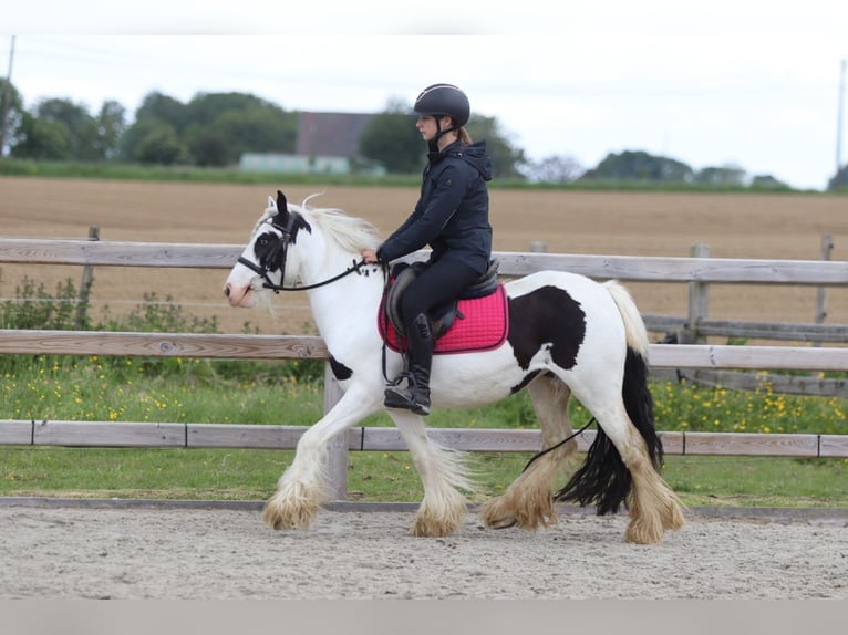 Tinker Klacz 5 lat 132 cm Srokata in Pepingen