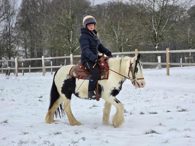 Tinker Klacz 5 lat 135 cm Srokata in Linkenbach