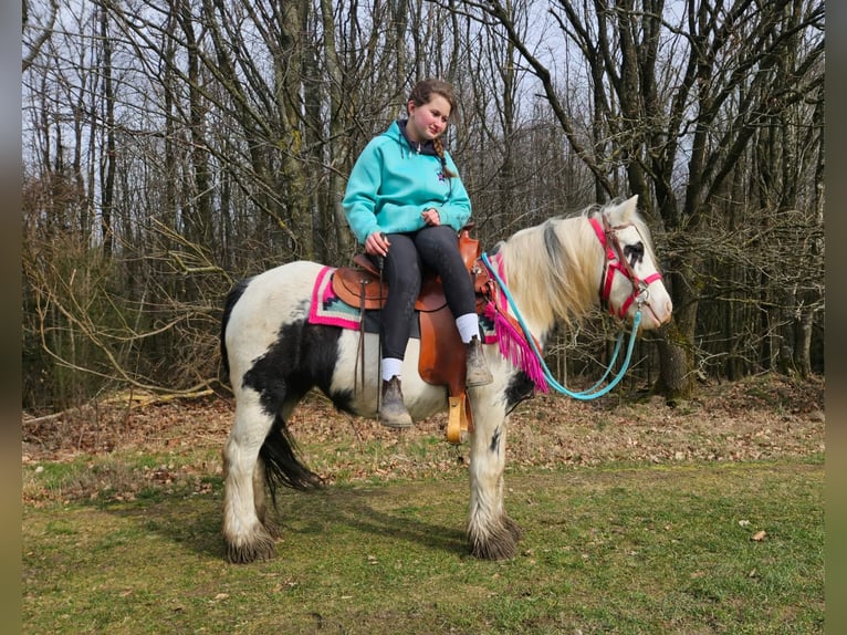 Tinker Klacz 5 lat 135 cm Srokata in Linkenbach