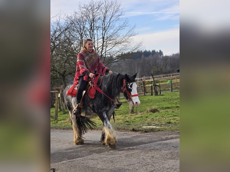 Tinker Klacz 8 lat 137 cm Overo wszelkich maści in Linkenbach