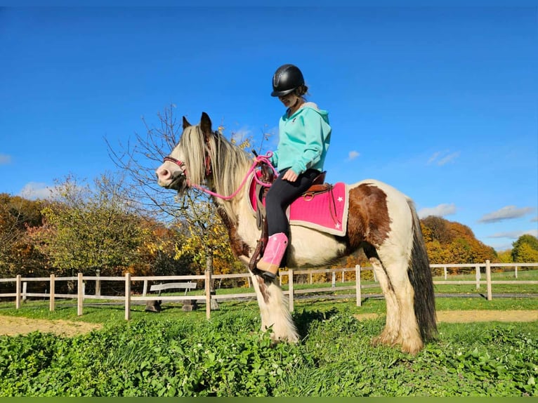 Tinker Merrie 10 Jaar 144 cm Gevlekt-paard in Linkenbach