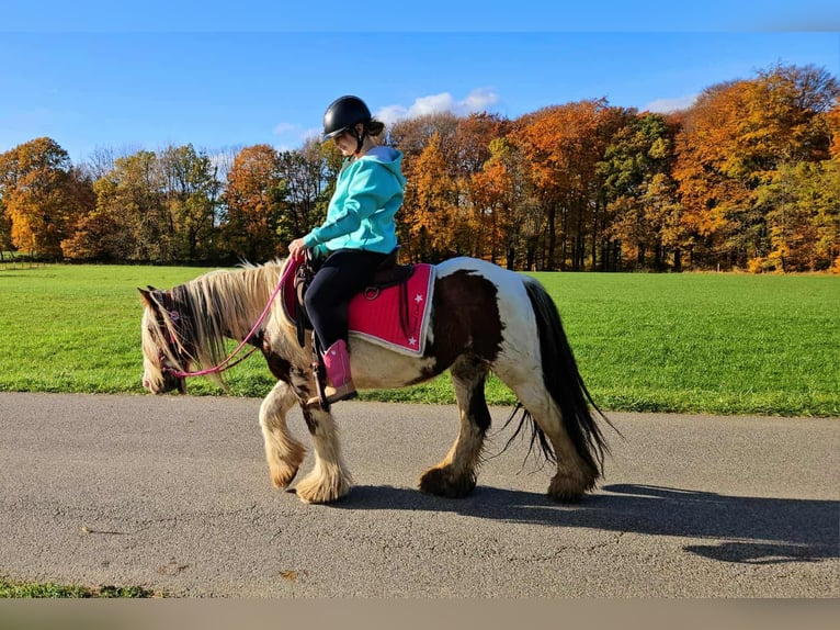 Tinker Merrie 10 Jaar 144 cm Gevlekt-paard in Linkenbach