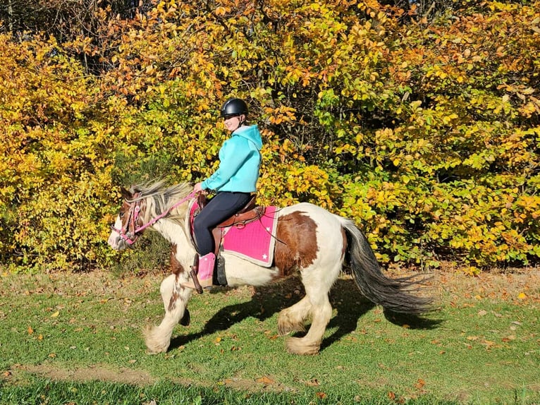 Tinker Merrie 10 Jaar 144 cm Gevlekt-paard in Linkenbach