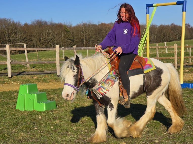 Tinker Merrie 11 Jaar 140 cm Gevlekt-paard in Linkenbach