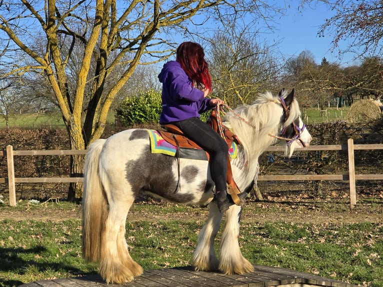 Tinker Merrie 11 Jaar 140 cm Gevlekt-paard in Linkenbach
