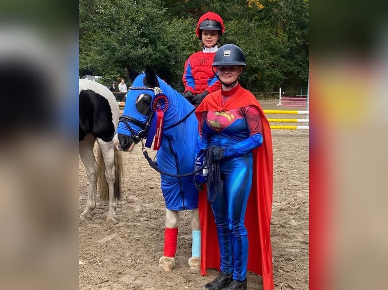 Tinker Merrie 12 Jaar 125 cm Gevlekt-paard in Grasberg