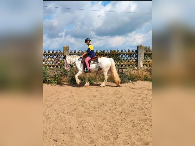 Tinker Merrie 13 Jaar 137 cm Gevlekt-paard in Rattelsdorf (Ofr)