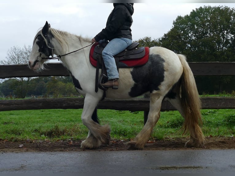 Tinker Merrie 14 Jaar 144 cm Gevlekt-paard in Lathen