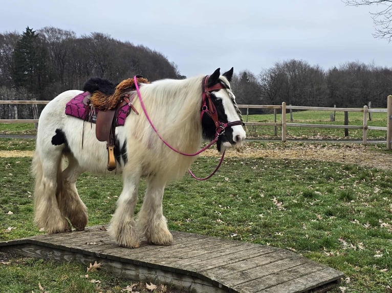 Tinker Merrie 15 Jaar 146 cm Gevlekt-paard in Linkenbach