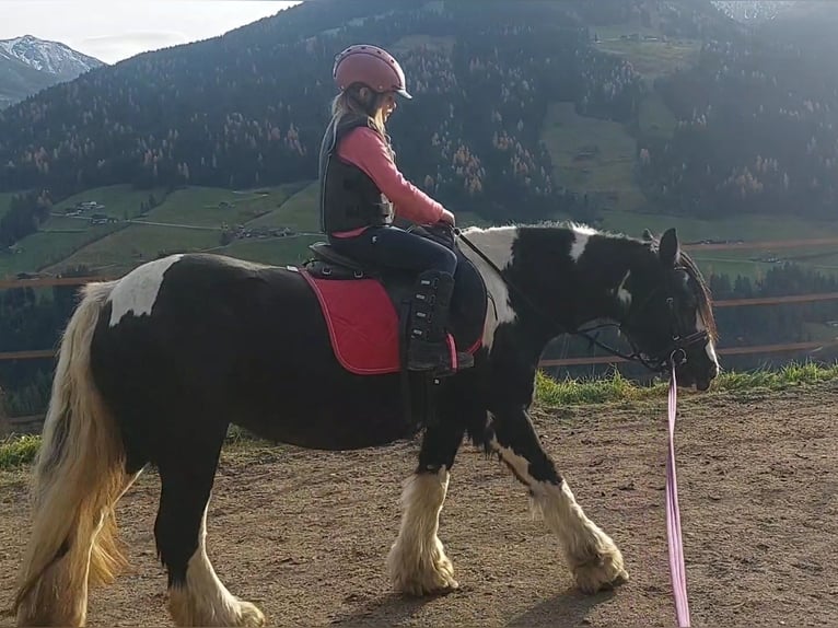 Tinker Merrie 16 Jaar 140 cm Appaloosa in Alpbach