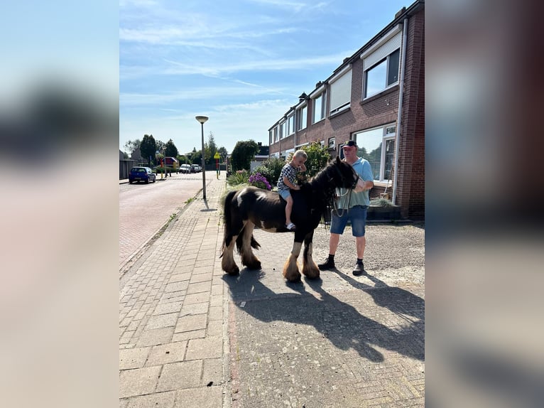 Tinker Merrie 4 Jaar 128 cm Gevlekt-paard in Vienenburg