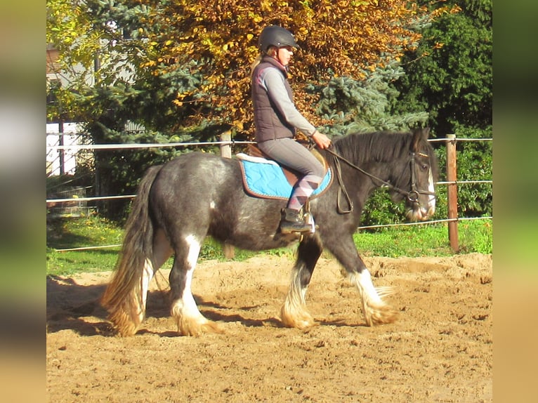 Tinker Merrie 4 Jaar 128 cm Zwart in Velpke