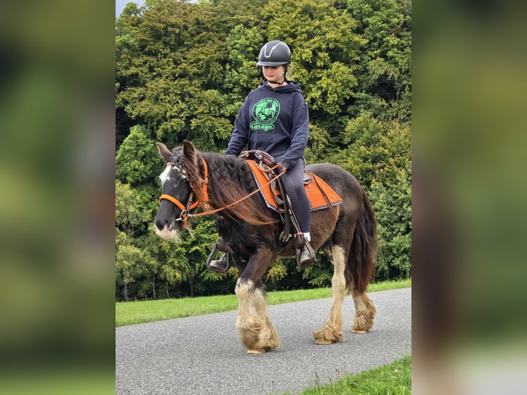 Tinker Merrie 4 Jaar 130 cm Gevlekt-paard in Linkenbach