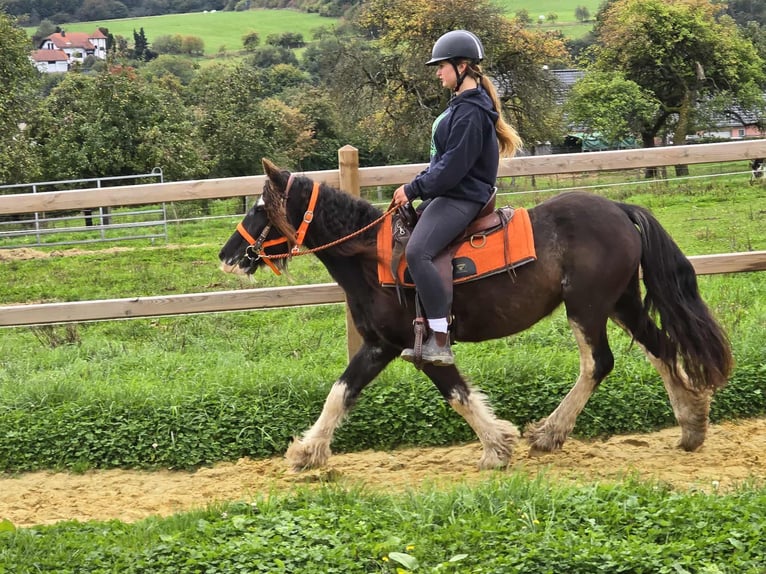 Tinker Merrie 4 Jaar 130 cm Gevlekt-paard in Linkenbach