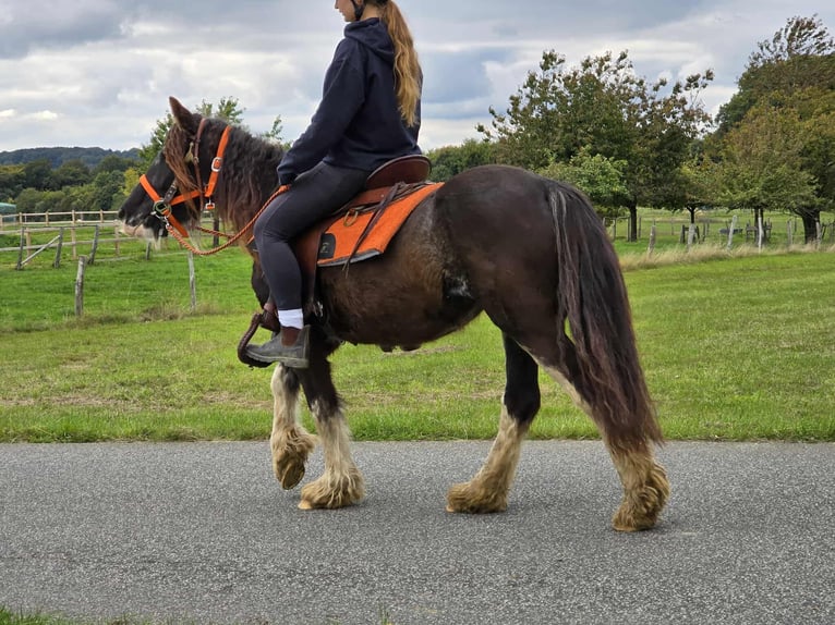 Tinker Merrie 4 Jaar 130 cm Gevlekt-paard in Linkenbach