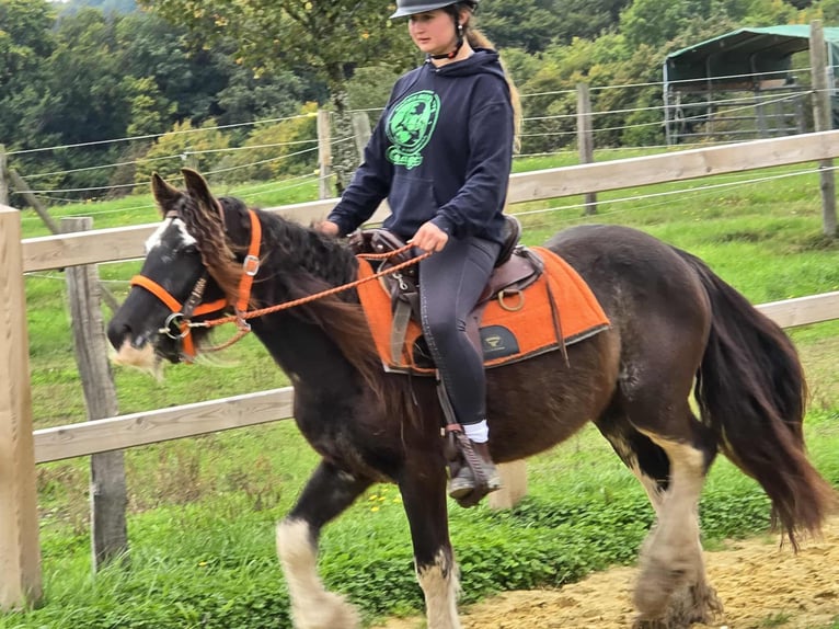 Tinker Merrie 4 Jaar 130 cm Gevlekt-paard in Linkenbach