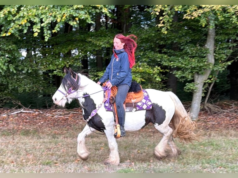Tinker Merrie 4 Jaar 142 cm Gevlekt-paard in Linkenbach