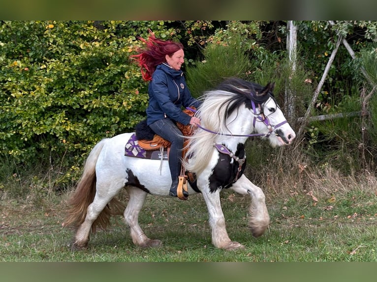 Tinker Merrie 4 Jaar 142 cm Gevlekt-paard in Linkenbach