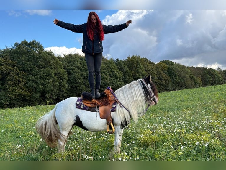 Tinker Merrie 4 Jaar 142 cm Gevlekt-paard in Linkenbach