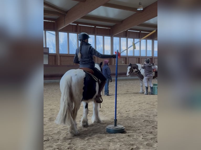 Tinker Merrie 4 Jaar 143 cm Gevlekt-paard in Achstetten