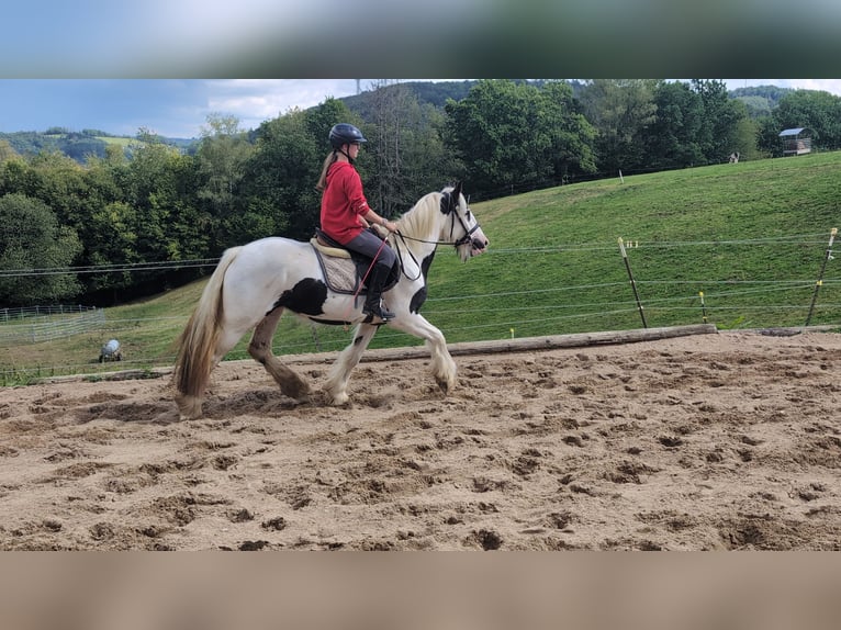 Tinker Merrie 4 Jaar 151 cm Gevlekt-paard in Morsbach