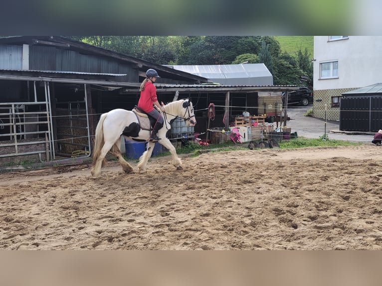 Tinker Merrie 4 Jaar 151 cm Gevlekt-paard in Morsbach