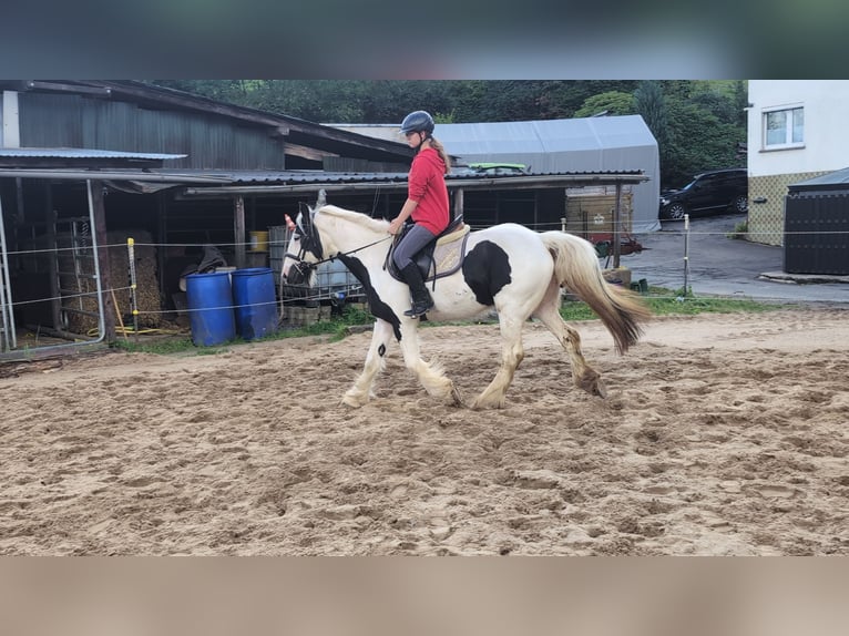 Tinker Merrie 4 Jaar 151 cm Gevlekt-paard in Morsbach