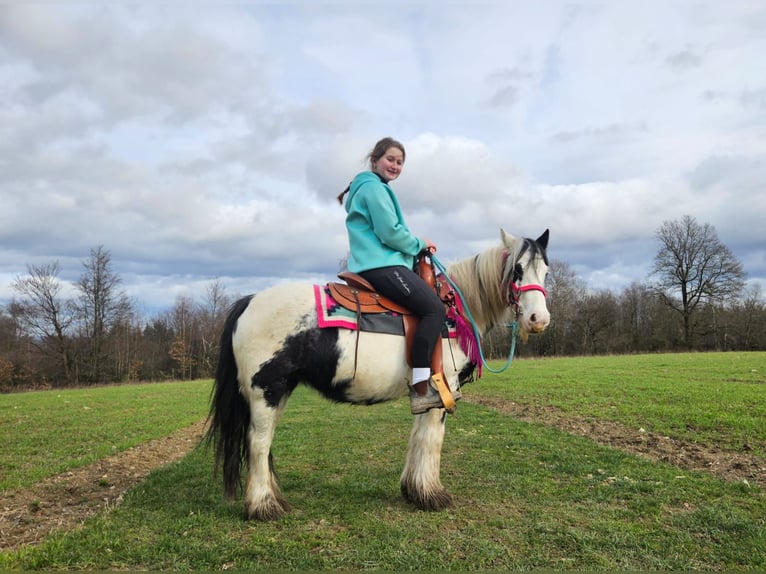Tinker Merrie 5 Jaar 135 cm Gevlekt-paard in Linkenbach