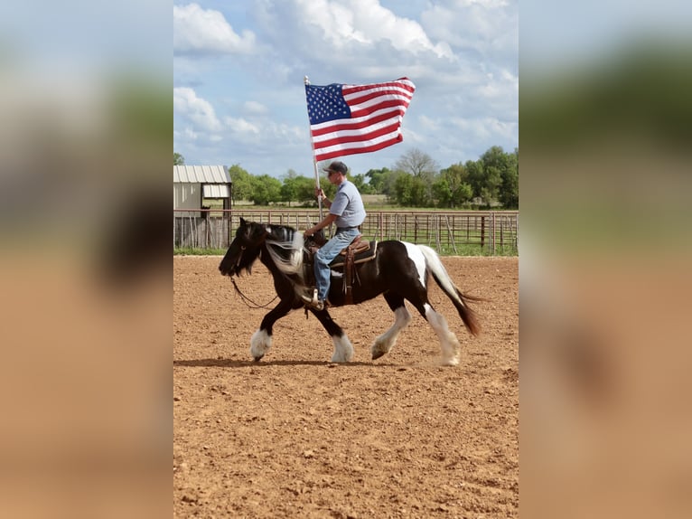 Tinker Merrie 5 Jaar 140 cm Gevlekt-paard in Dublin