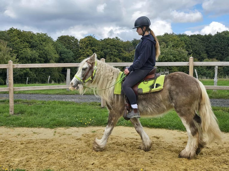 Tinker Merrie 6 Jaar Palomino in Linkenbach