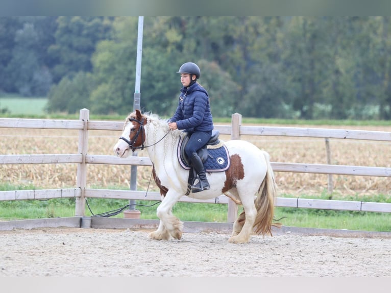 Tinker Merrie 7 Jaar 127 cm Gevlekt-paard in Bogaarden