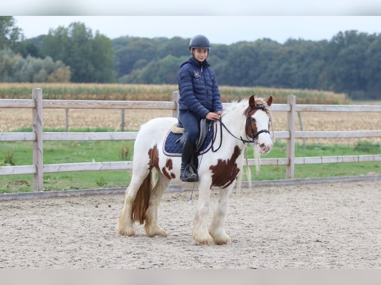 Tinker Merrie 7 Jaar 127 cm Gevlekt-paard in Bogaarden
