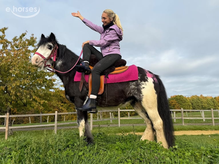 Tinker Merrie 7 Jaar 131 cm Gevlekt-paard in Linkenbach