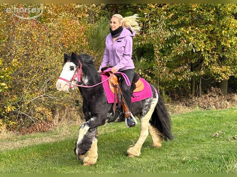 Tinker Merrie 7 Jaar 131 cm Gevlekt-paard in Linkenbach