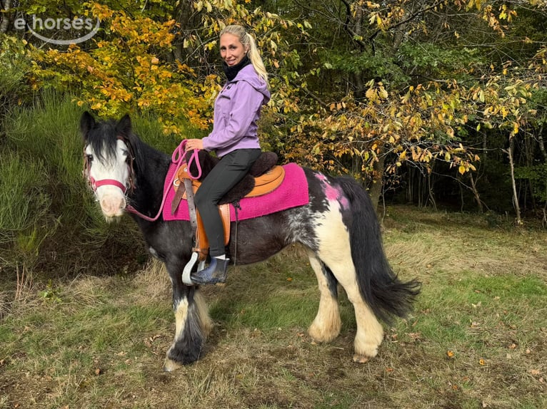 Tinker Merrie 7 Jaar 131 cm Gevlekt-paard in Linkenbach