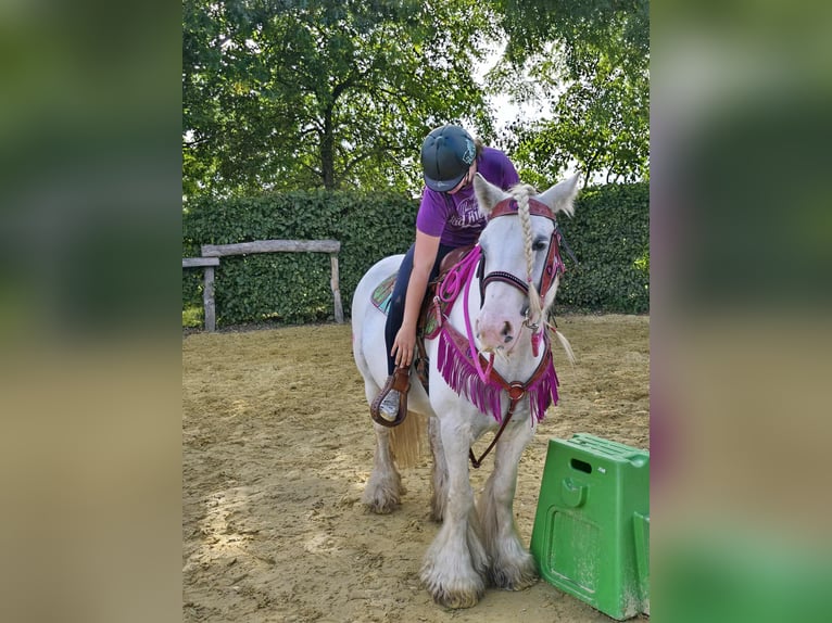 Tinker Merrie 7 Jaar 142 cm Gevlekt-paard in Linkenbach