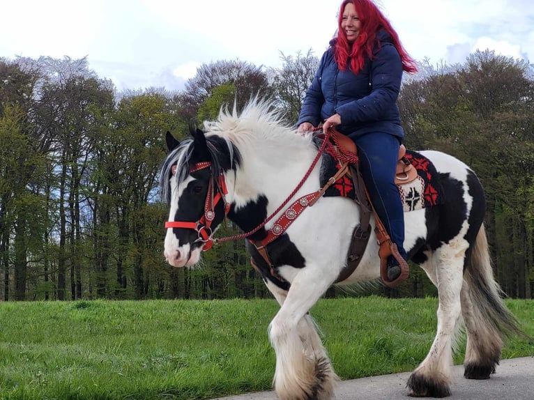 Tinker Merrie 7 Jaar 145 cm Gevlekt-paard in Linkenbach
