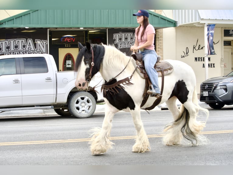 Tinker Merrie 7 Jaar Gevlekt-paard in Stephenville